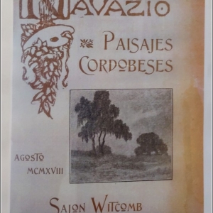 Walter de Navazio locandina mostra 1918