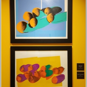 PALP Pontedera A. Warhol  space fruits