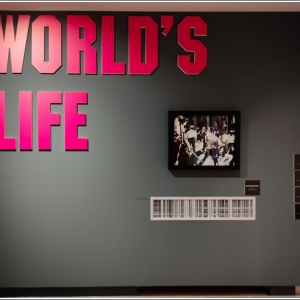 PALP Pontedera A. Warhol world's life