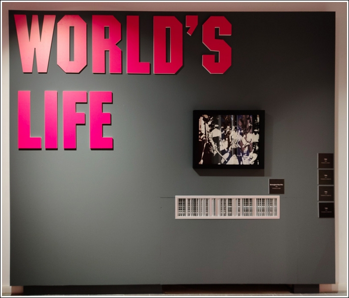 PALP Pontedera A. Warhol world's life