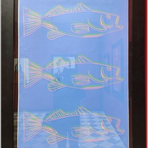 PALP Pontedera A. Warhol  world's life Fish