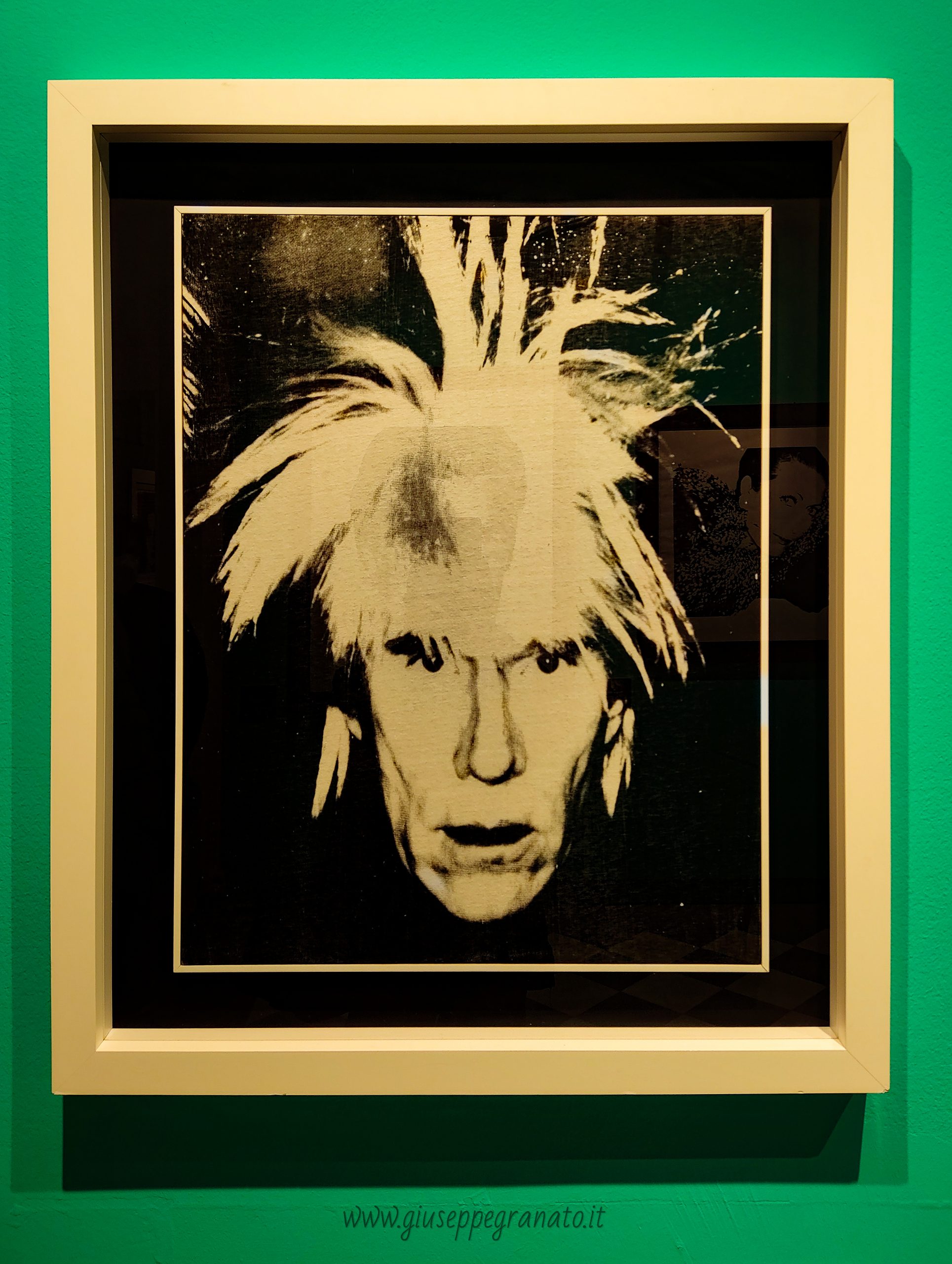 mostra Andy Warholl 1 sezione Fame- Autoriratto
