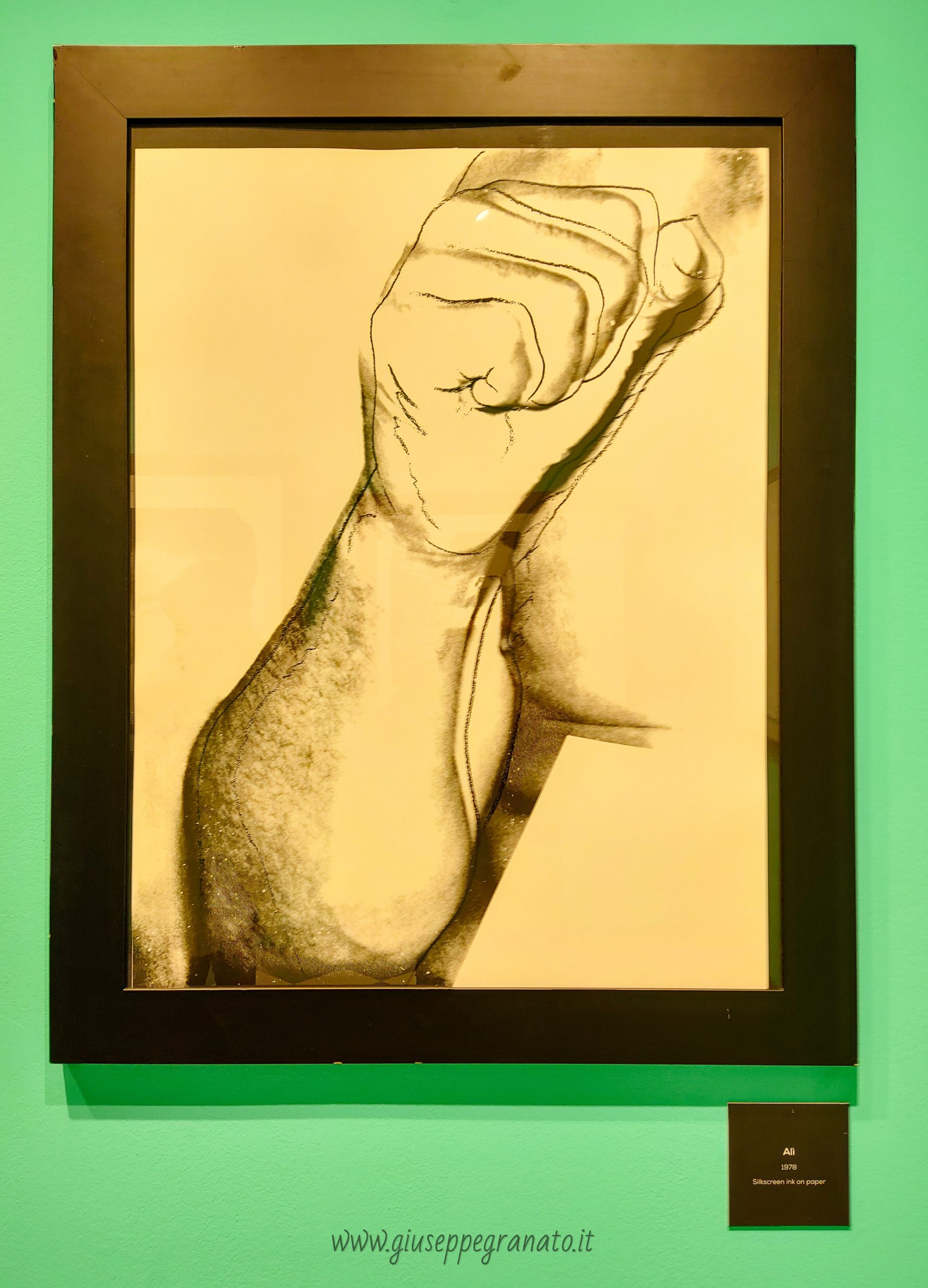 PALP Pontedera mostra Andy Warholl 1 sezione Fame-Muhammand Ali