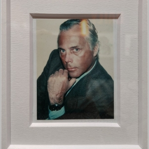 PALP Pontedera A. Warhol Giorgio Armani Polaroid