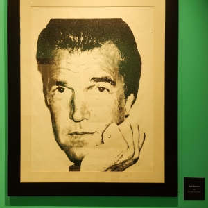 mostra Andy Warholl 1 sezione Fame- Jean Barbier