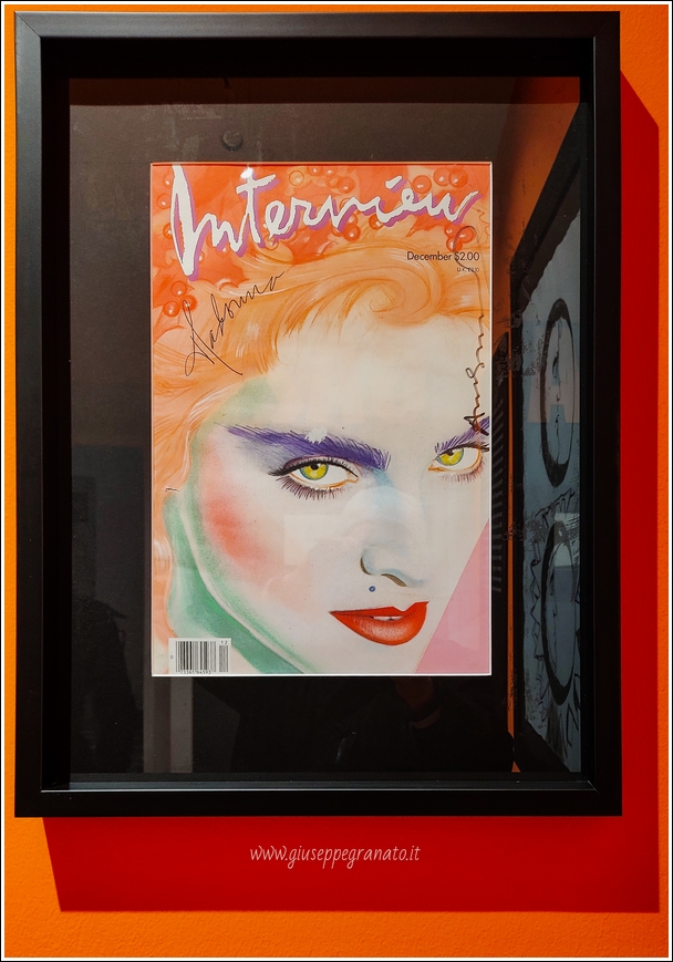 PALP Pontedera A. Warhol  Gaze: Interview Madonna