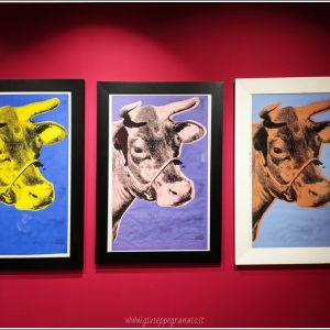 PALP Pontedera A. Warhol  world's life Cow