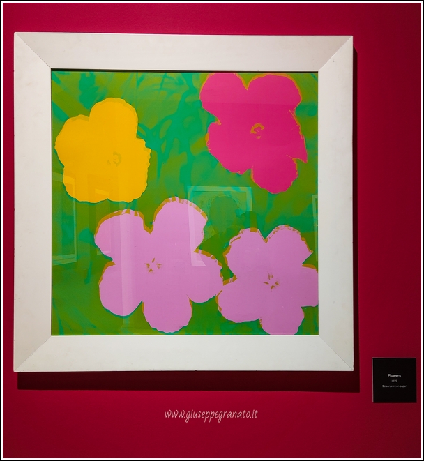PALP Pontedera A. Warhol  world's life Flowers