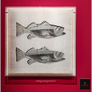 PALP Pontedera A. Warhol  world's life Fish2