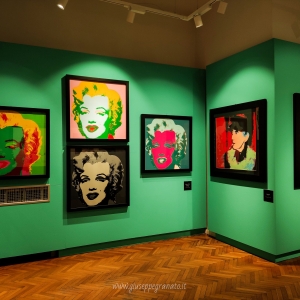 mostra Andy Warholl 1 sezione Fame