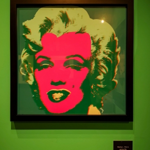 PALP Pontedera mostra Andy Warholl 1 sezione Fame - Marylin Monroe-4