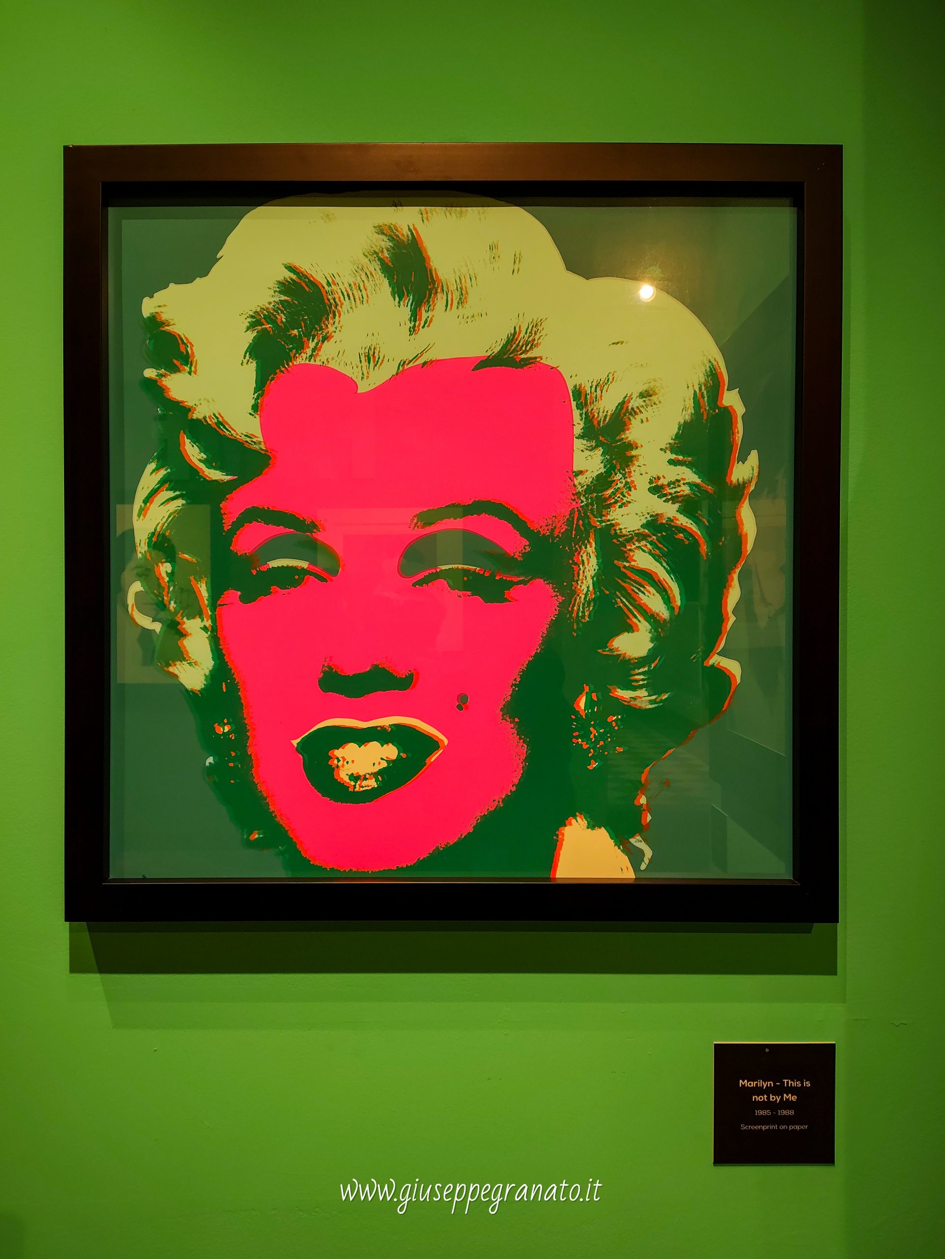 PALP Pontedera mostra Andy Warholl 1 sezione Fame - Marylin Monroe-4