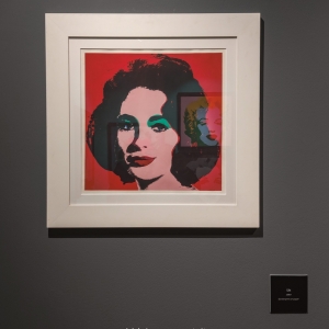 PALP Pontedera mostra Andy Warholl 1 sezione Fame - Liz Taylor