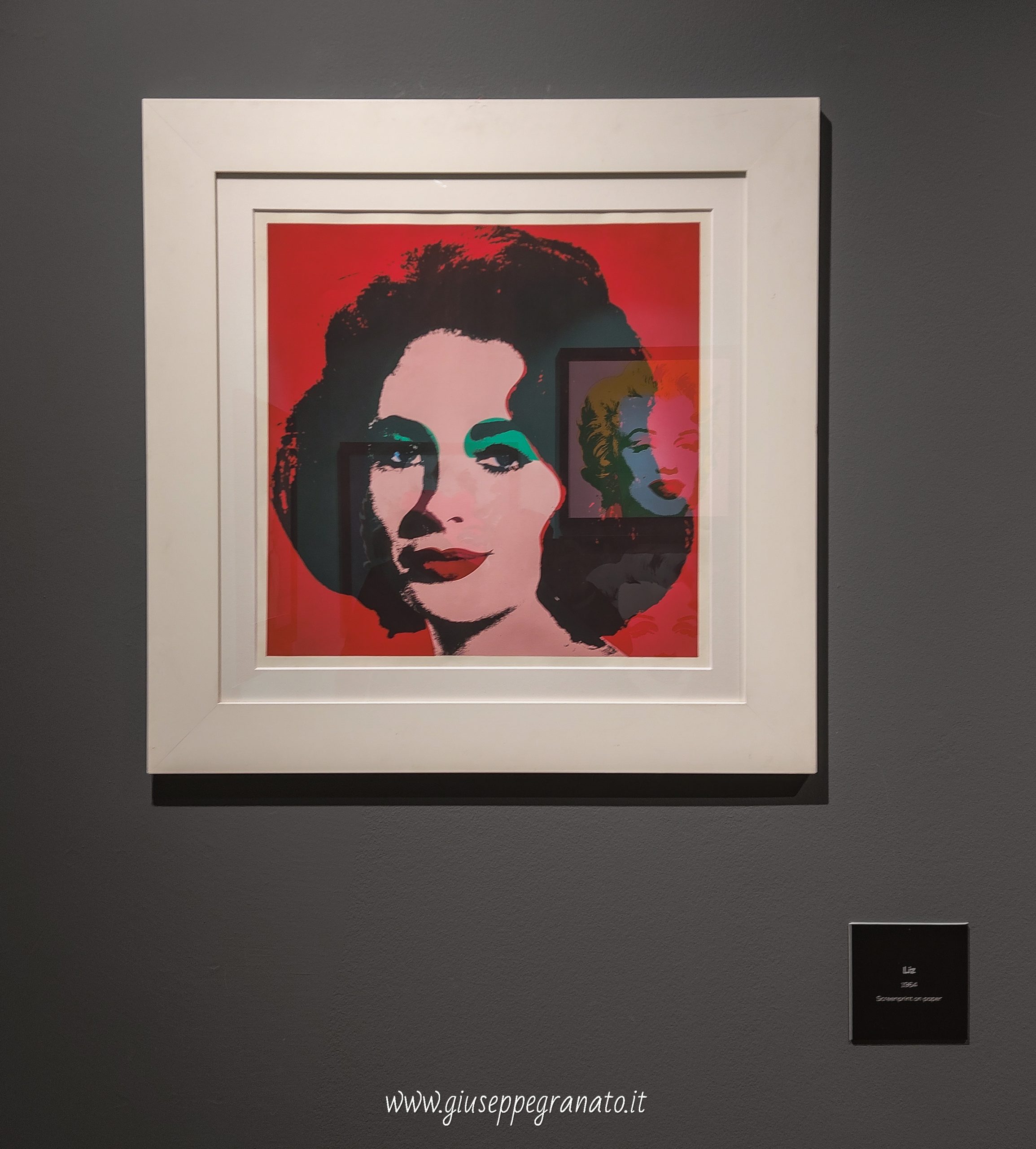 PALP Pontedera mostra Andy Warholl 1 sezione Fame - Liz Taylor