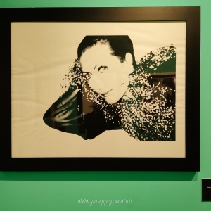 PALP Pontedera mostra Andy Warholl 1 sezione Fame - Helene Rochas