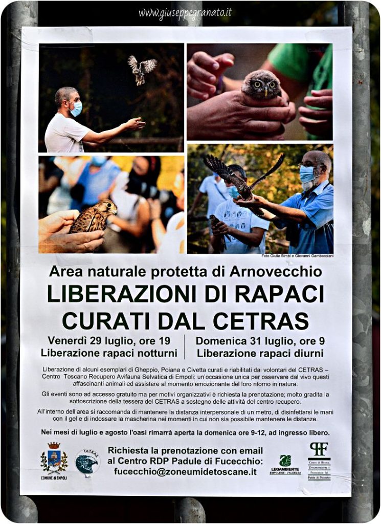 Locandina evento liberazione di rapaci curati dal CETRAS