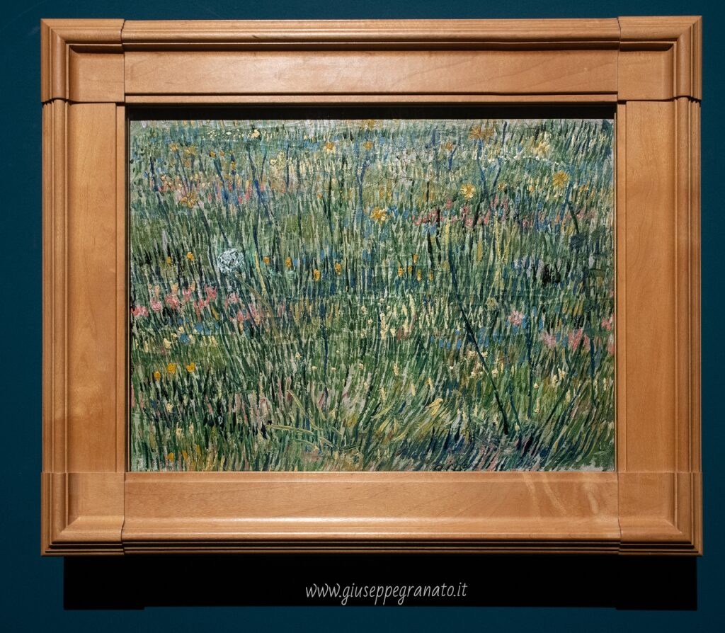 V. van Gogh, Angolo di prato, 1887