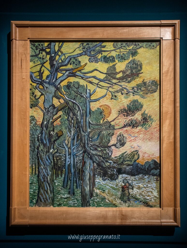 V. van Gogh, Pini al tramonto, 1889