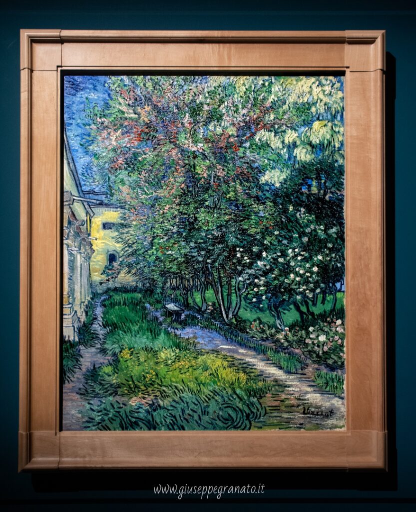 V. van Gogh, Il giardino del manicomio a Saint-Rémy, 1889