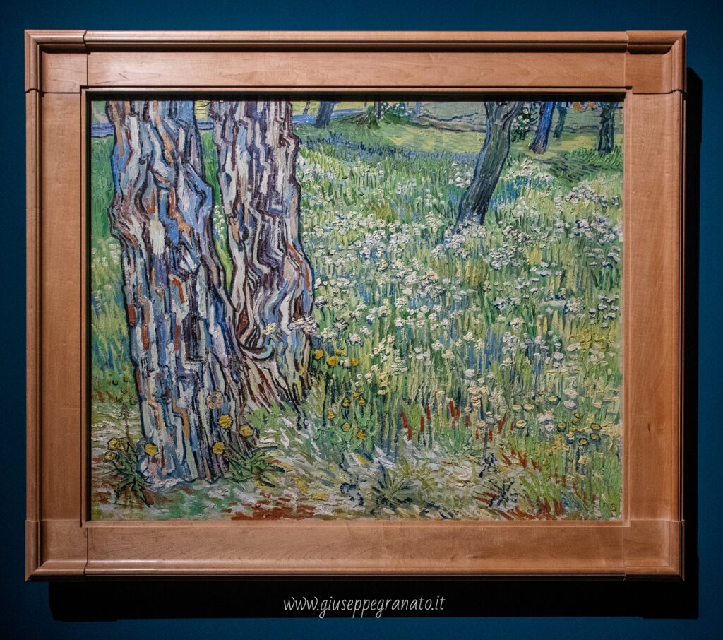  V. van Gogh, Tronchi d'albero nell'erba, 1890