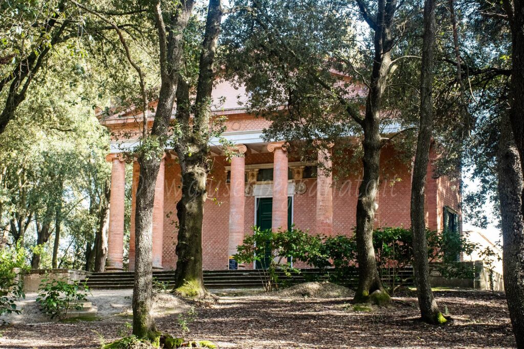 tempio Minerva Medica e la lecceta