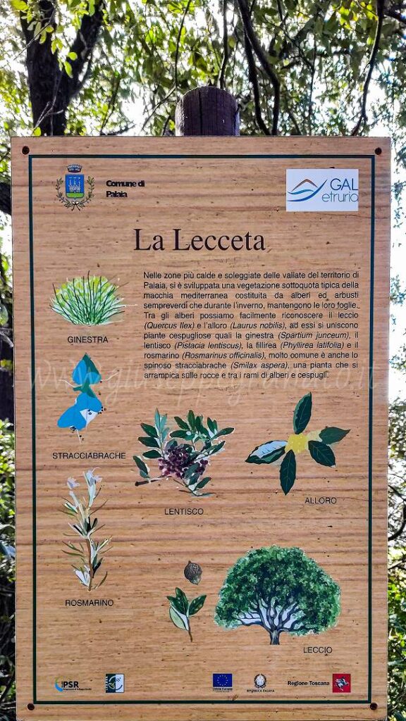 tempio Minerva Medica-cartello la lecceta