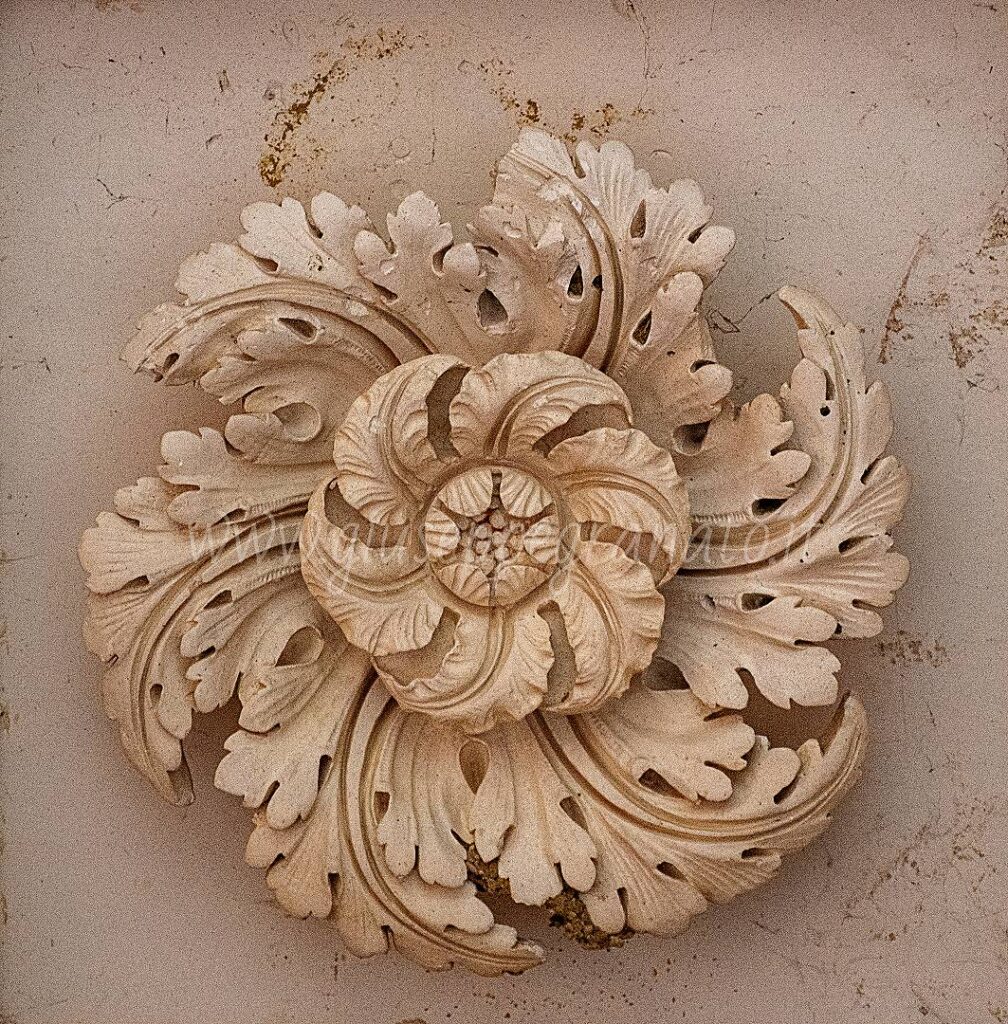 tempio Minerva Medica-particolare soffitto colonnato, pronao