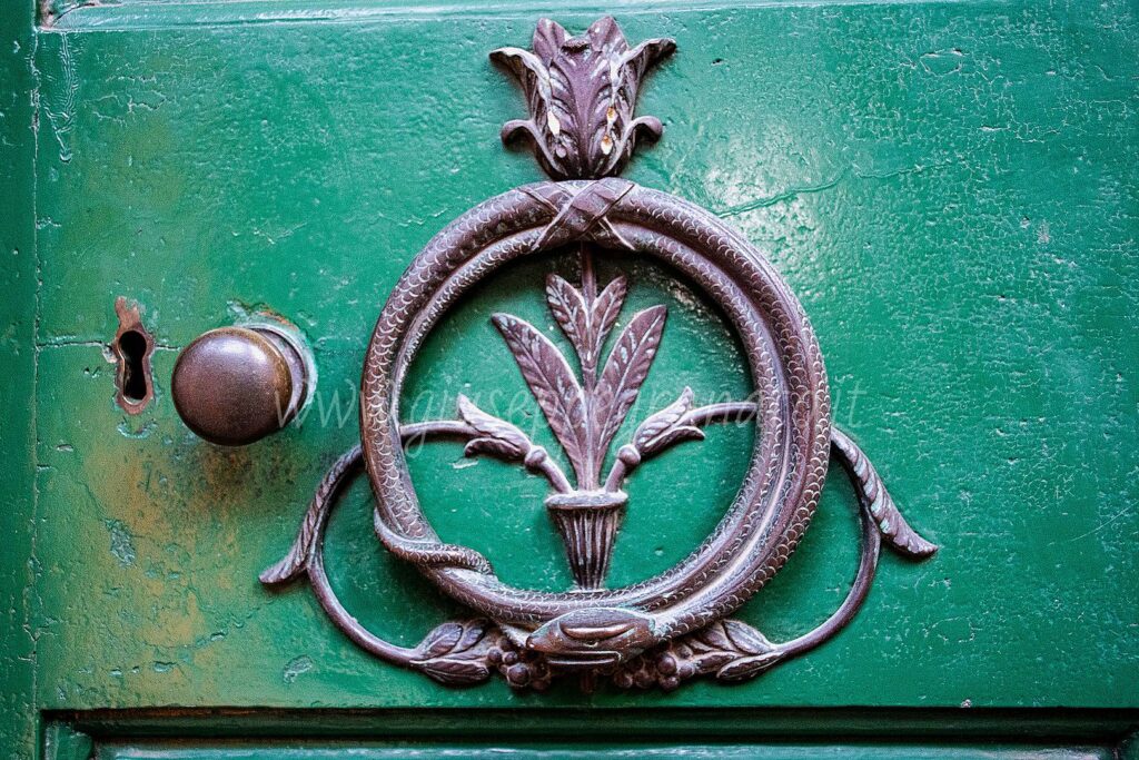 porta particolare l'Uroboro e fiore di papavero da oppio usato dalla medicina del tempo per antidolorifico e anestetico
