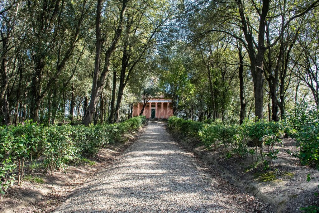 tempio Minerva Medica viale di accesso e la lecceta