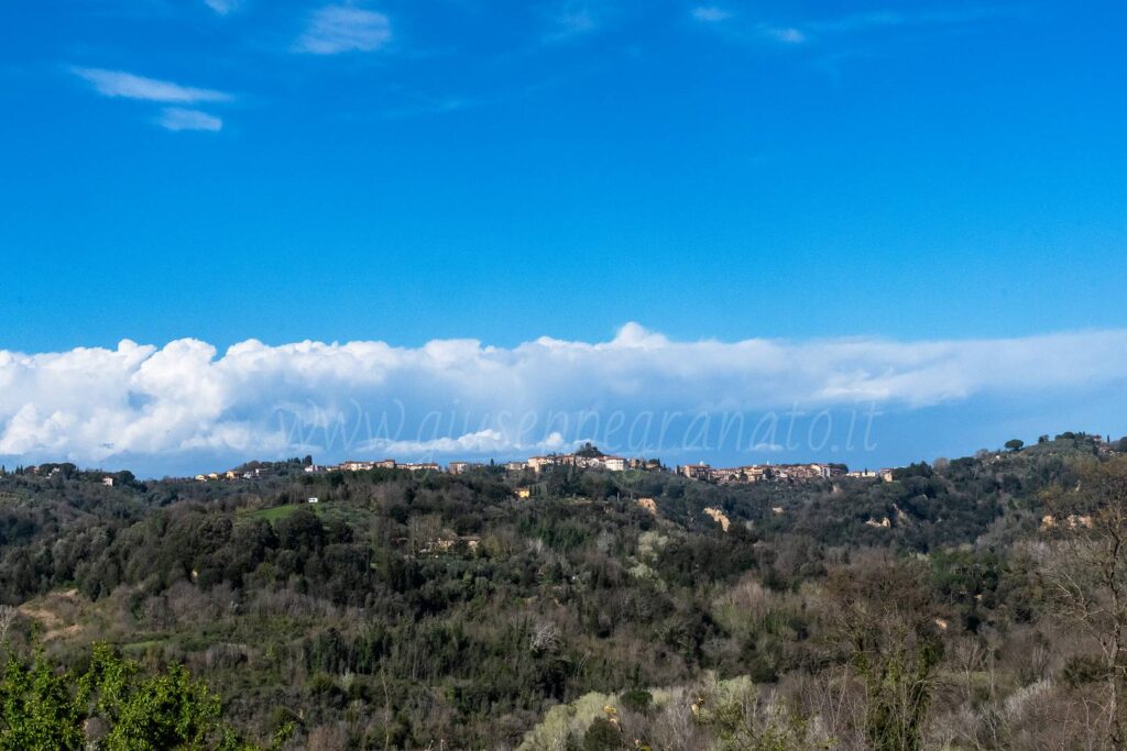 veduta di Palaia dal tempio Minerva Medica