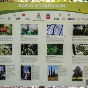 Cartellone descrizione vegetazione all'interno del Bosco dei Cappuccini