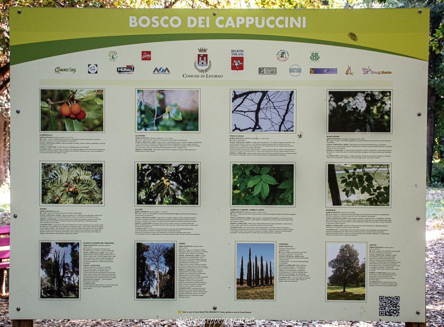 Cartellone descrizione vegetazione all'interno del Bosco dei Cappuccini