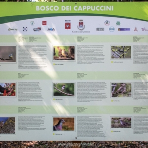 Cartellone descrizione volatili presenti nel Bosco dei Cappuccini