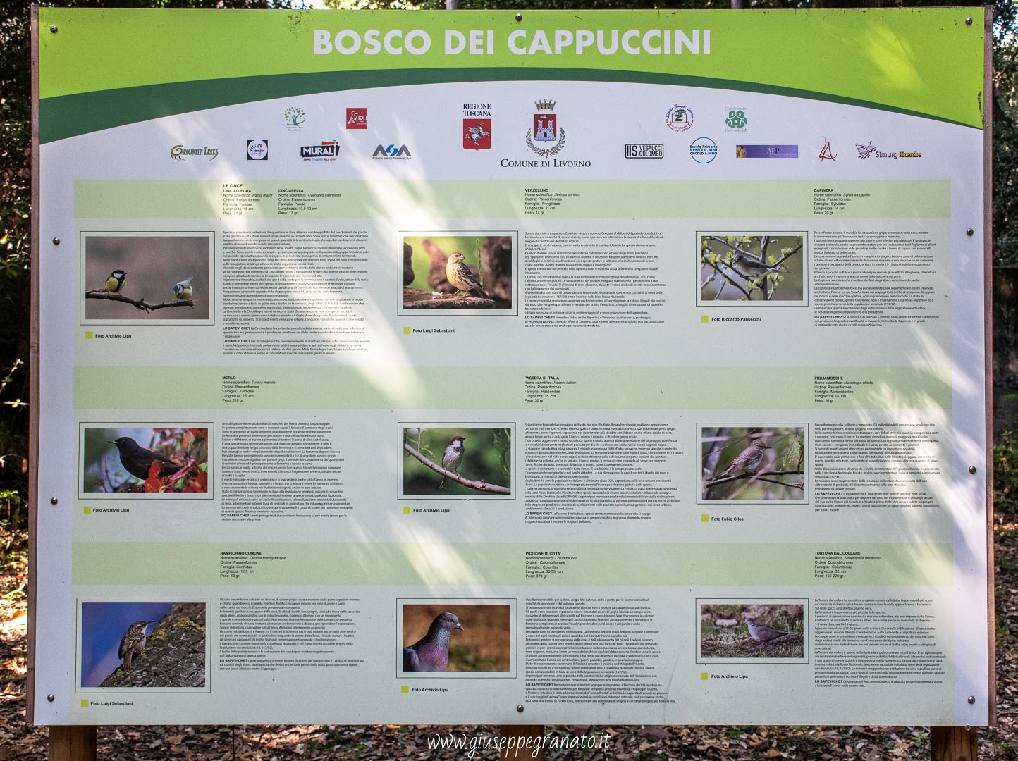 Cartellone descrizione volatili presenti nel Bosco dei Cappuccini