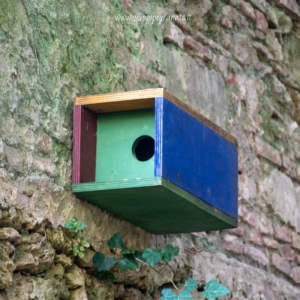 Cassetta nido per uccelli