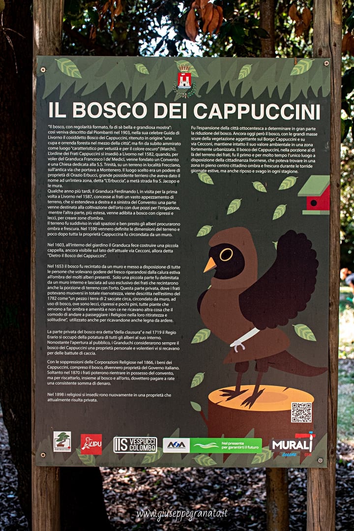 Cartellone descrizione Bosco dei Cappuccini