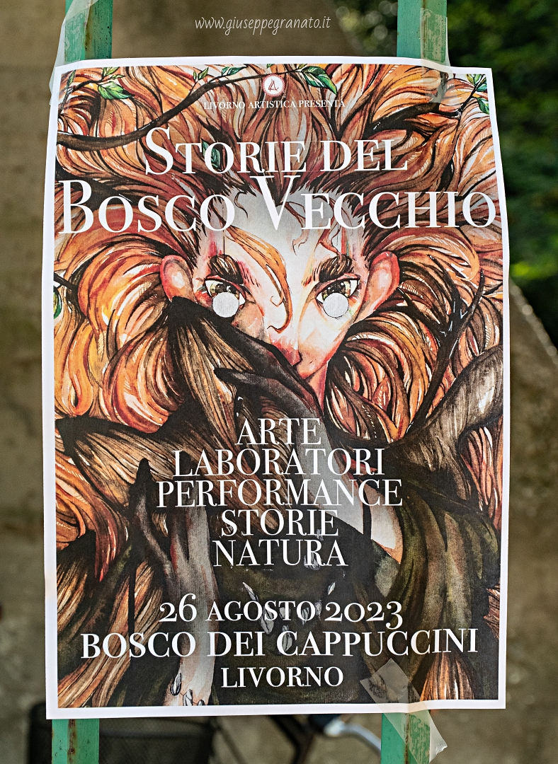 Locandina "storie del Bosco Vecchio"
